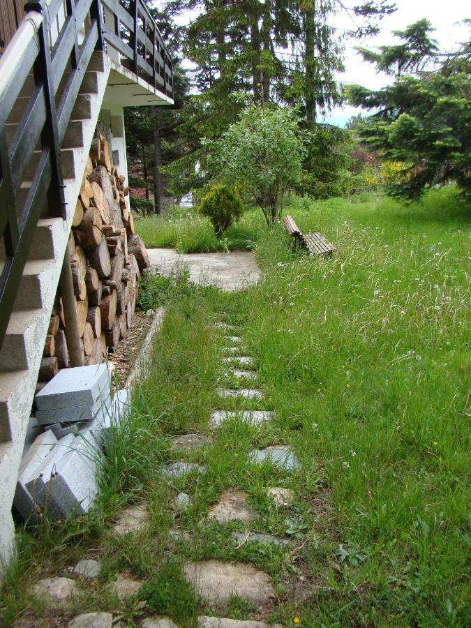 Chalet De L'Esquirol Bolquere Pyrenees 2000 エクステリア 写真